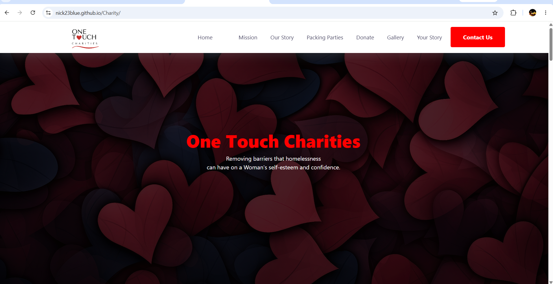 SEO-friendly website built for a nonprofit organization
